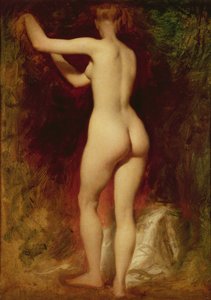 後ろからの女性のヌード